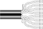 Belden NETWORK Data- en communicatiekabel | 1667E.00500