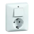 combinatie wandcontactdoos + ra 2-p universele schakelaar half opbouw inbouw wit IP20 00239721