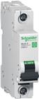 Schneider Electric Installatieautomaat | M9F21105