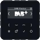 Jung Radio | DABLS2BTSW