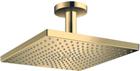 Hansgrohe Raindance E Douchekop | 26250990