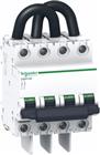 Schneider Electric Installatieautomaat | A9N61656