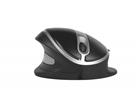 Oyster Mouse Wireless Large