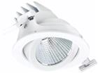 Philips LuxSpace Downlight/spot/schijnwerper | 8718699978808