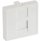 Wandplaat DEXLAN voor 1 x RJ45 keystone- 45 x 45 mm