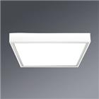 Regiolux Plafond-/wandarmatuur | 62000016680