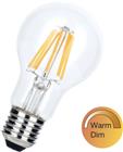 Bailey LED Filament Dim-to-Warm LED-lamp | 145415