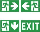 Disano Safety Pictogram noodverlichting | 99513300