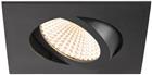 SLV Downlight/spot/schijnwerper | 1007396