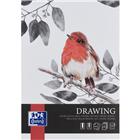 Tekenblok Drawing Art met rug A4 25 p. 200 g - Oxford