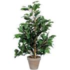 Kunstplant Ficus Exotica 65cm - Vepabins