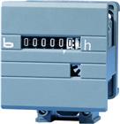 Bauser 631/629 Urenteller | SB1027.032